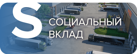 Социальный вклад
